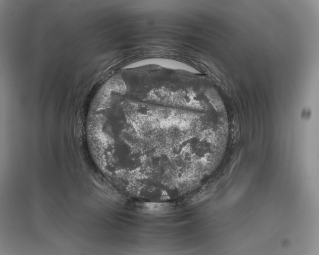X0000096420371200802211129