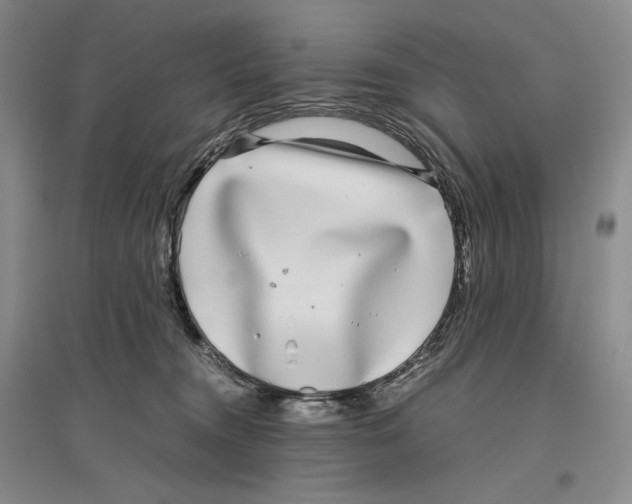 X0000096420372200802211129