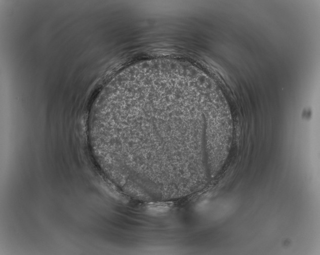 X0000096420373200802211129