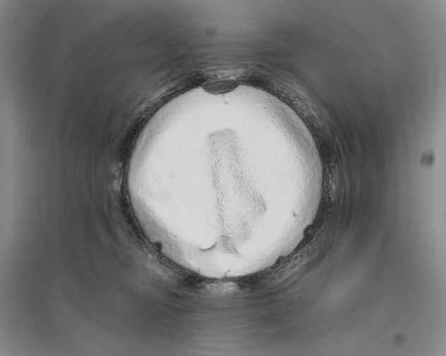 X0000096420374200802211129