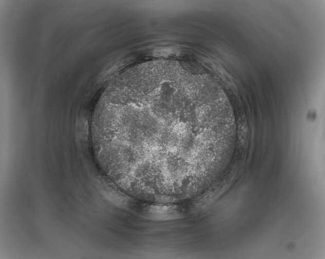 X0000096420375200802211129