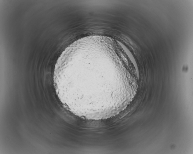 X0000096420377200802211129
