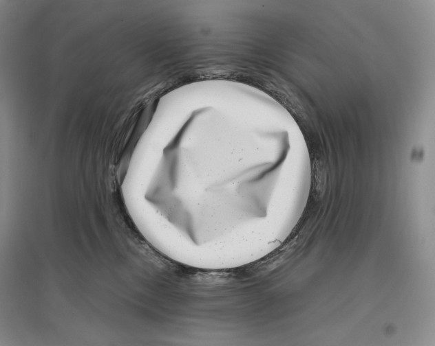 X0000096420378200802211129