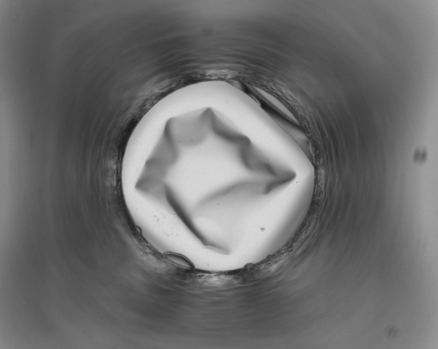 X0000096420379200802211129