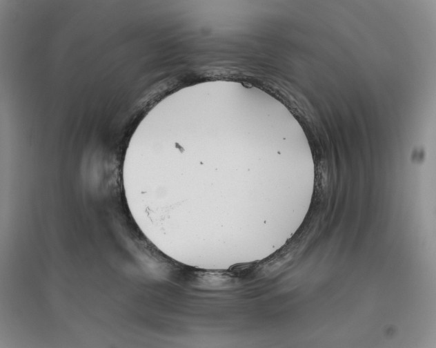 X0000096420380200802211129