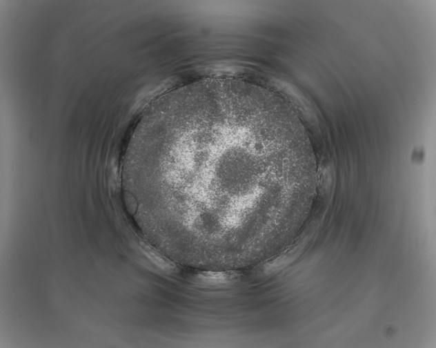 X0000096420381200802211129