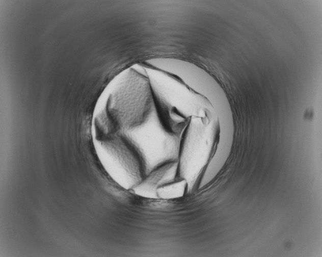 X0000096420383200802211129