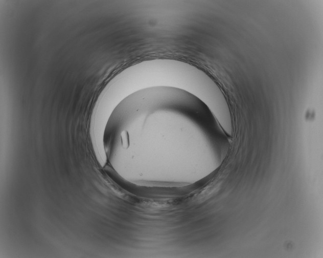 X0000096420384200802211129