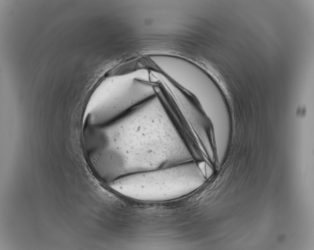 X0000096420385200802211128
