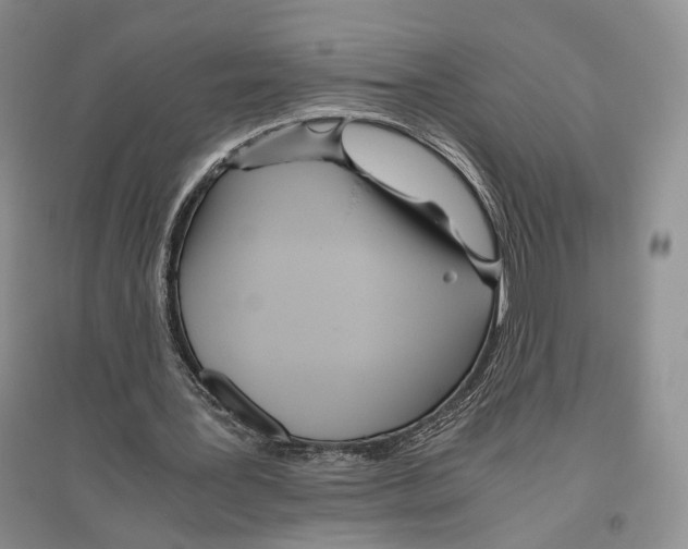 X0000096420387200802211128