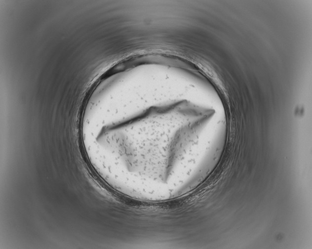 X0000096420389200802211128