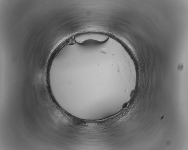 X0000096420391200802211128