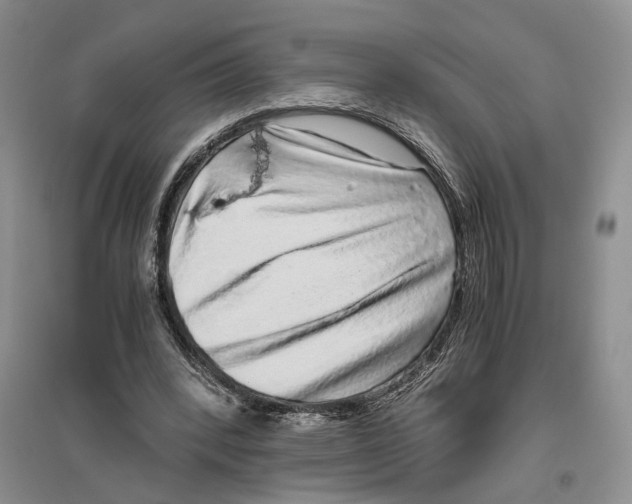 X0000096420392200802211128