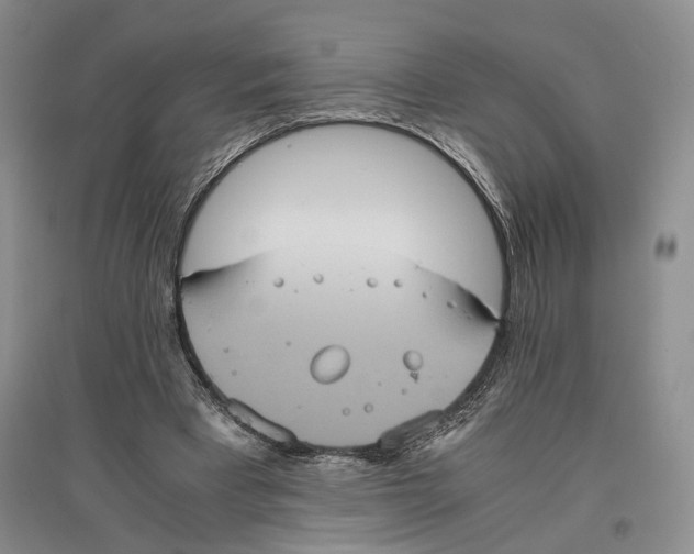 X0000096420393200802211128