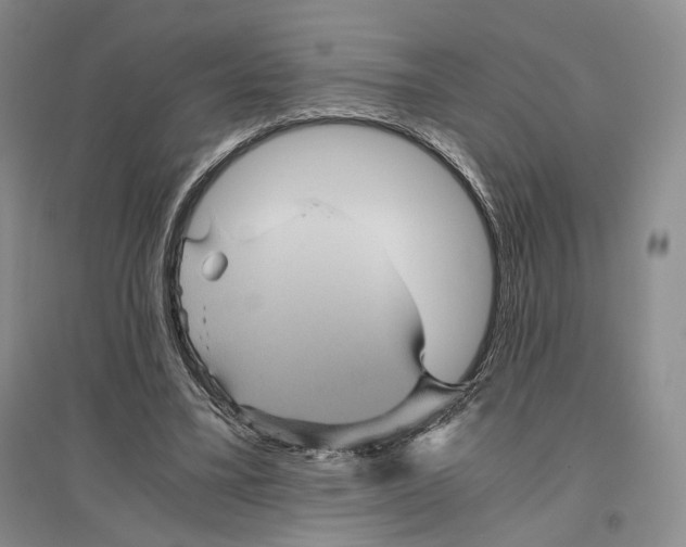 X0000096420395200802211128