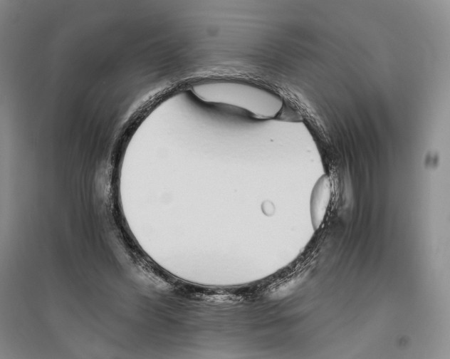 X0000096420396200802211128