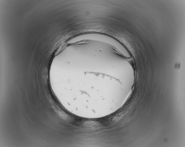 X0000096420397200802211128