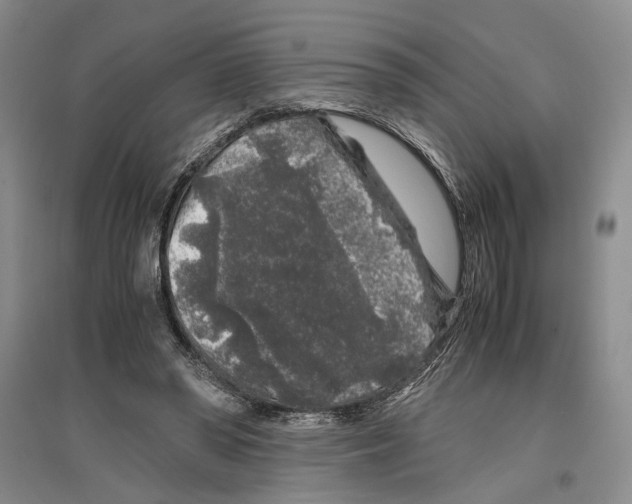 X0000096420398200802211128