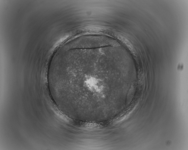 X0000096420399200802211128