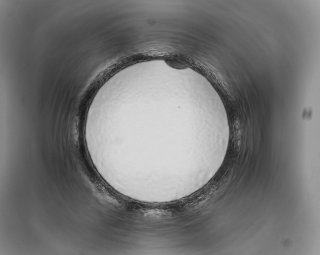 X0000096420400200802211128