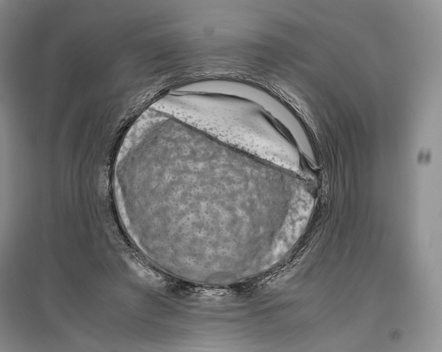 X0000096420401200802211128
