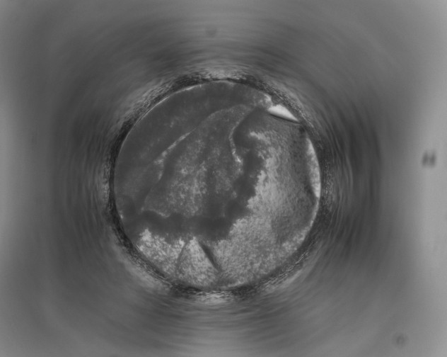 X0000096420402200802211128
