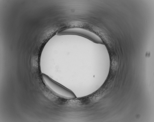 X0000096420403200802211128