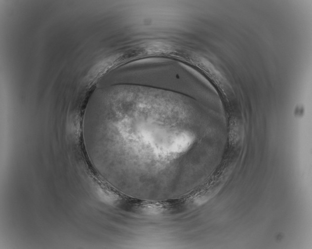 X0000096420405200802211128