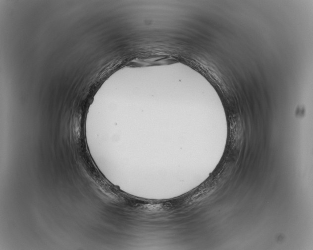 X0000096420406200802211128