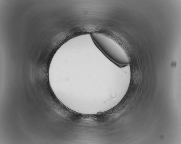 X0000096420407200802211128