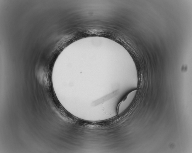 X0000096420408200802211128