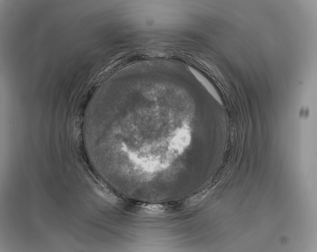X0000096420409200802211128