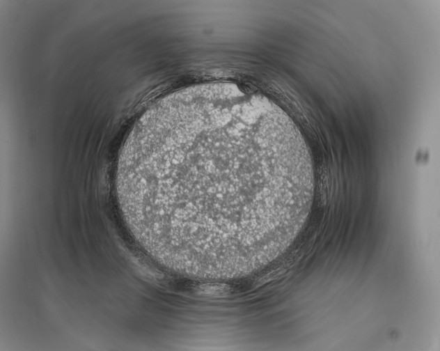 X0000096420410200802211128