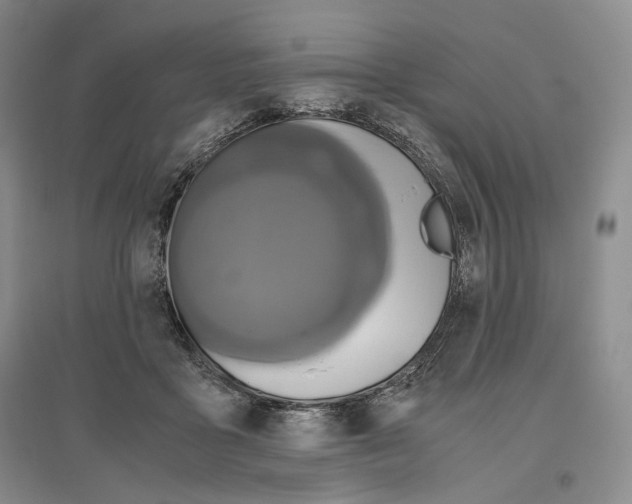 X0000096420411200802211128
