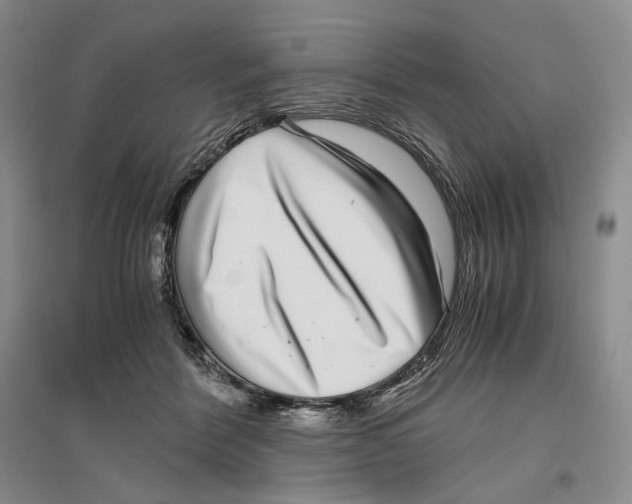 X0000096420412200802211128
