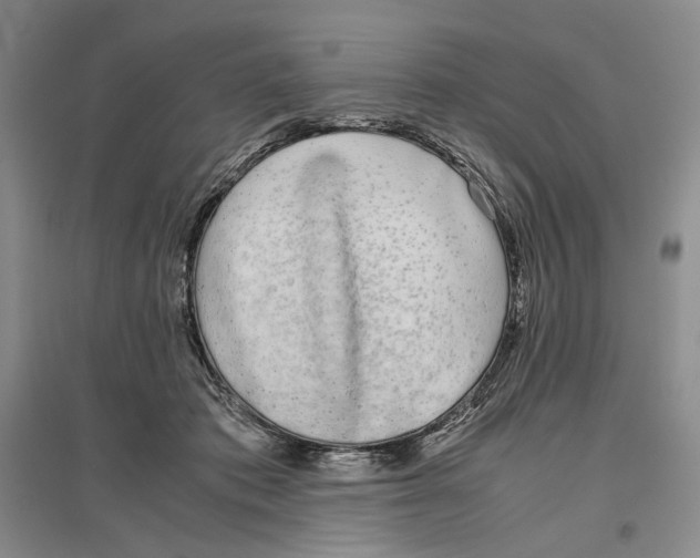 X0000096420413200802211128
