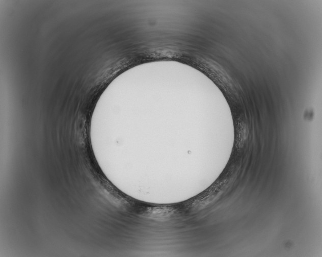 X0000096420414200802211128