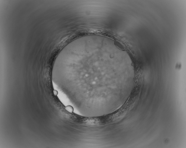 X0000096420415200802211128