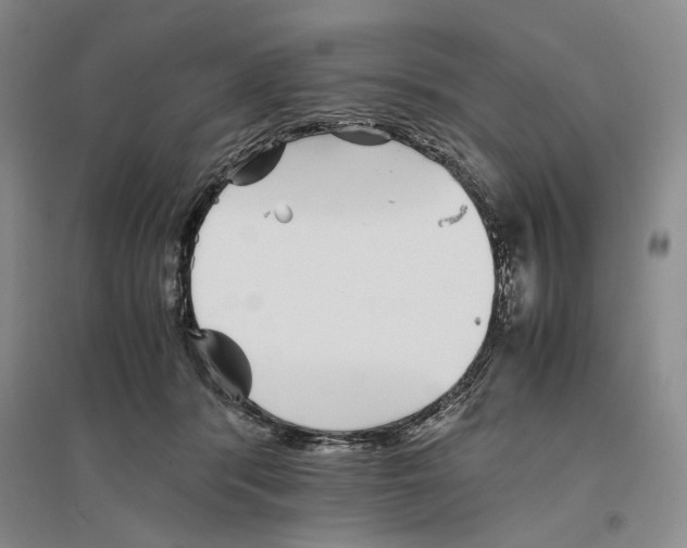 X0000096420416200802211128