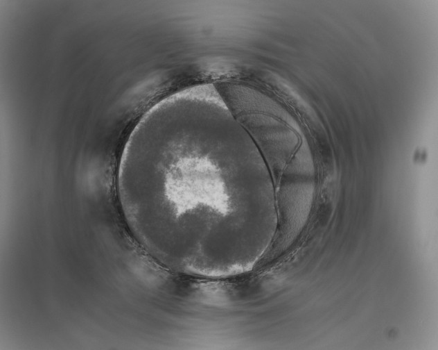X0000096420417200802211128
