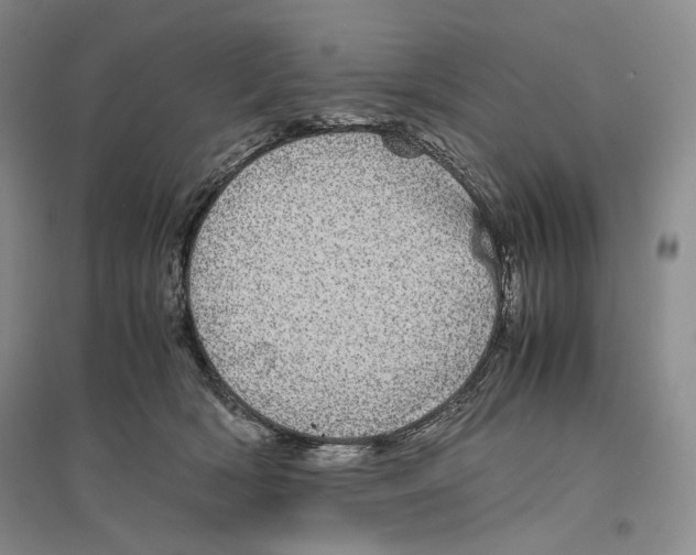 X0000096420418200802211128