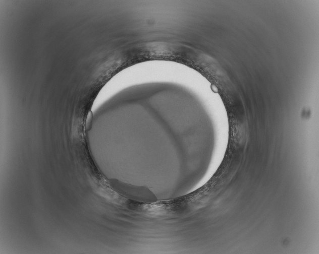 X0000096420419200802211128