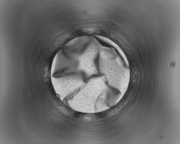 X0000096420420200802211128