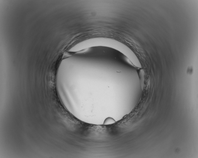 X0000096420421200802211128