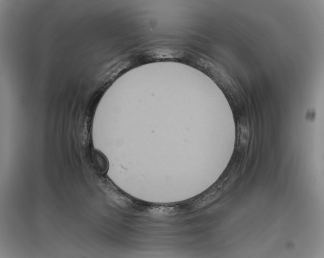 X0000096420422200802211128