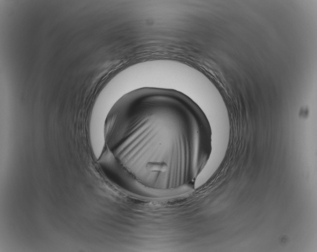 X0000096420423200802211128