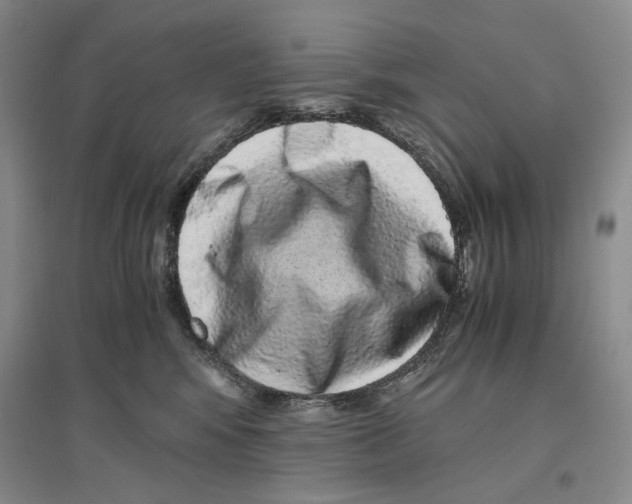 X0000096420424200802211128