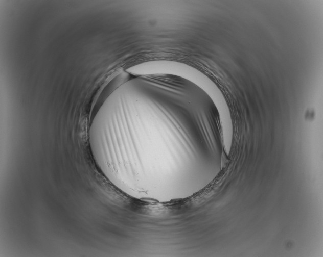 X0000096420425200802211128