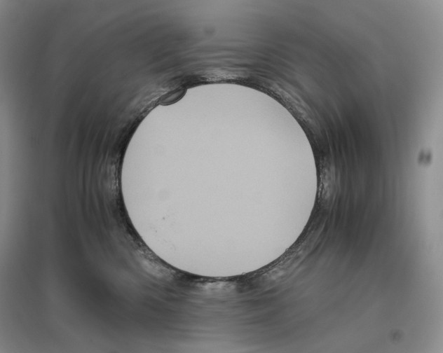 X0000096420426200802211128