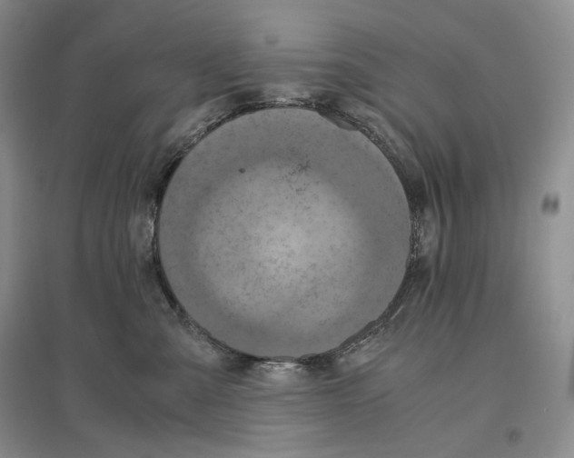 X0000096420427200802211128